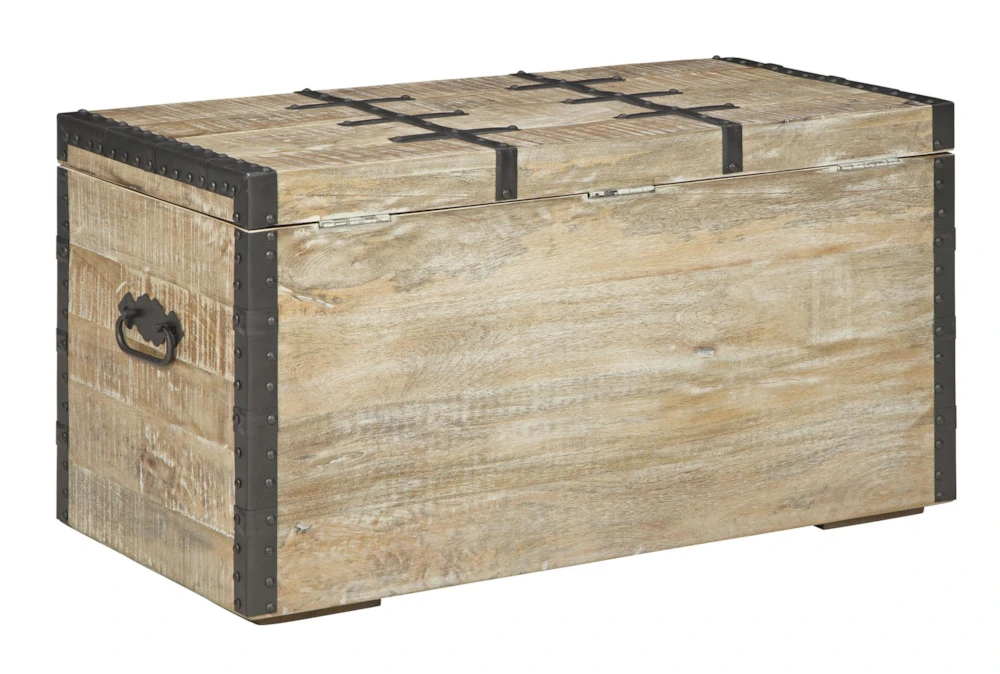 Darry White Washed Storage Trunk 9 Darry White Washed Storage Trunk - Image 7