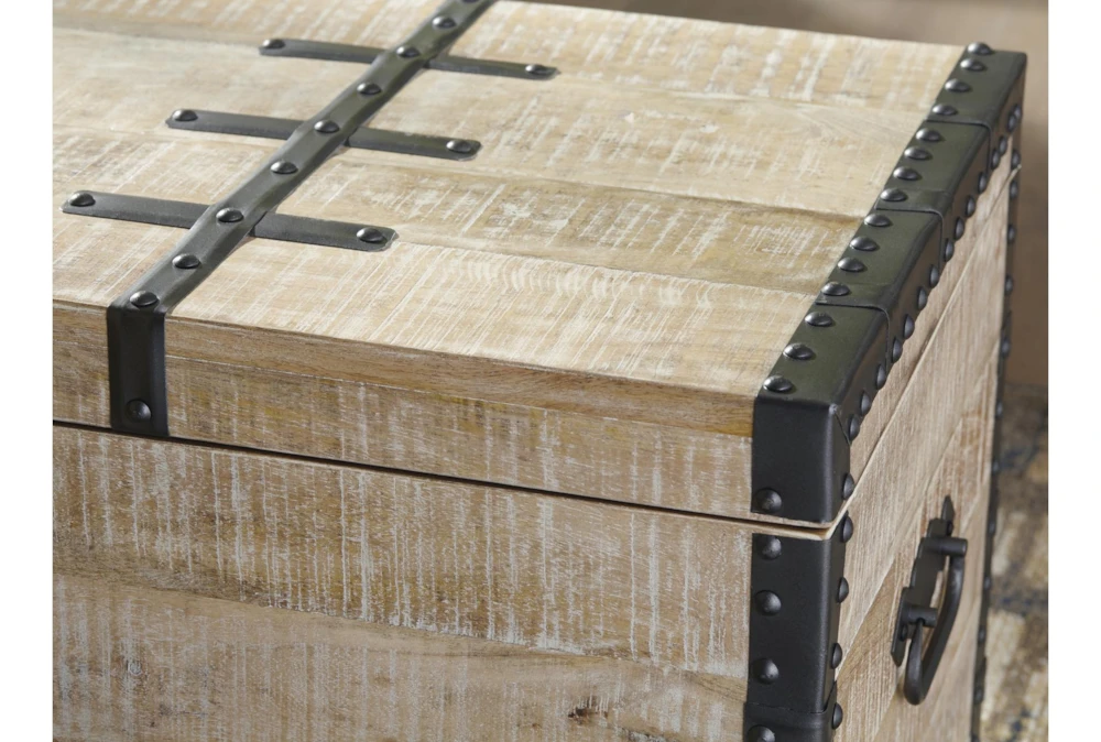 Darry White Washed Storage Trunk 6 Darry White Washed Storage Trunk - Image 4