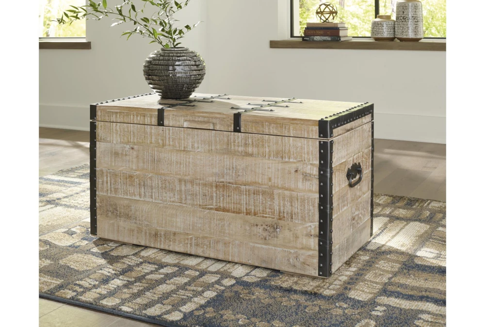 Darry White Washed Storage Trunk 10 Darry White Washed Storage Trunk - Image 8