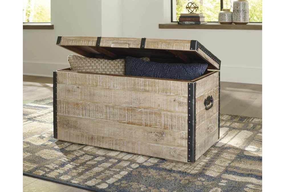 Darry White Washed Storage Trunk 11 Darry White Washed Storage Trunk - Image 9